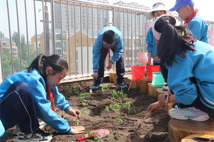 西夏区实验小学78e54.jpg