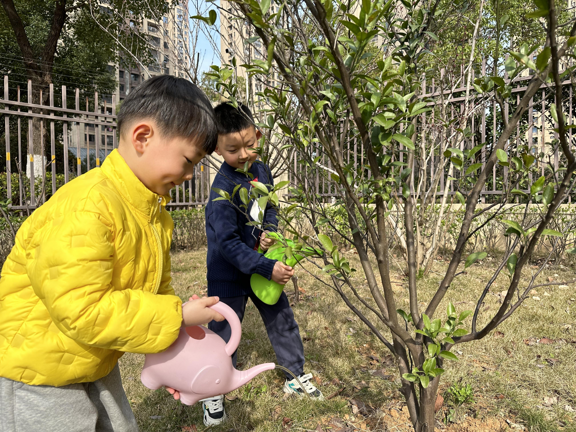 绿意悄悄发芽 红升幼儿园吹响春天的号角