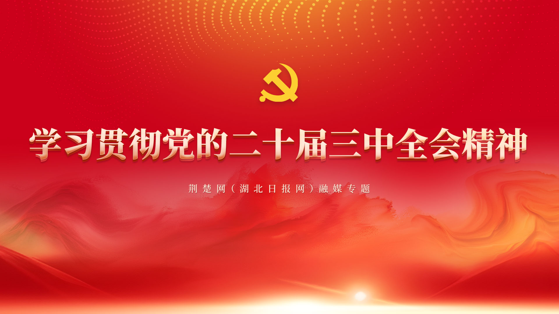 学习贯彻党的二十届三中全会精神