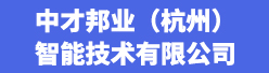 中才邦业（杭州）智能技术有限公司招聘信息