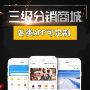 宁德三级分销app系统定制开发 微商代理返利商城开发