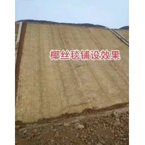 福建宁德生态植被毯公路边坡绿化 高边坡植被防护有生态植被毯