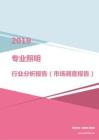 2019年专业照明行业分析报告（市场调查报告）.pdf