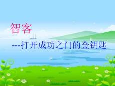 全套2011无线互动营销方案