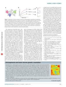 《Nature Neuroscience》杂志2016发表文章