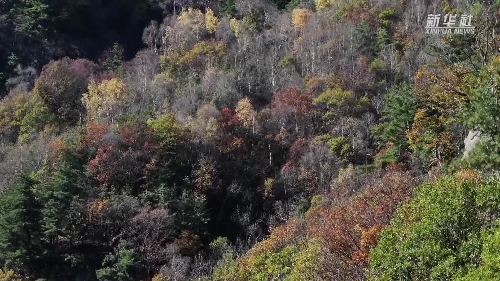 青海循化：碧水如镜秋色美