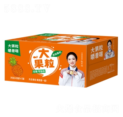 ���ָ����������Ҭ�˹���ζ��Ʒ490mlX15��װ������֭