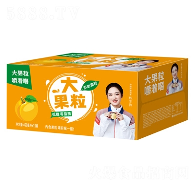 ���ָ����������Ҭ�˹���ζ��Ʒ490mlX15��װ������֭
