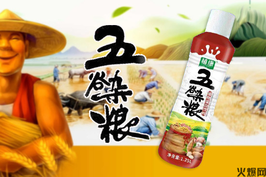 植康五谷杂粮饮料 植康五谷杂粮饮料