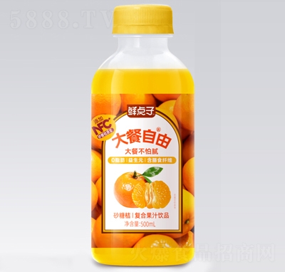 �ʵ��Ӵ������ɰ���ٸ��Ϲ�֭����500ml
