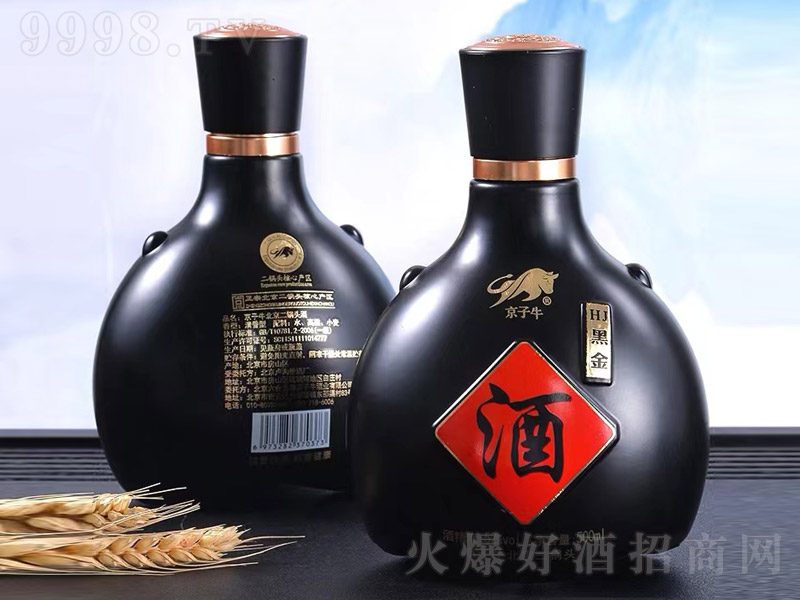 ţͷHJڽ ͡52 500ml