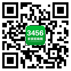 ũ���ƶ�վ��