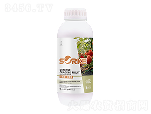 ľ���ᡤ���ѹ�-ʩ�ֿ�