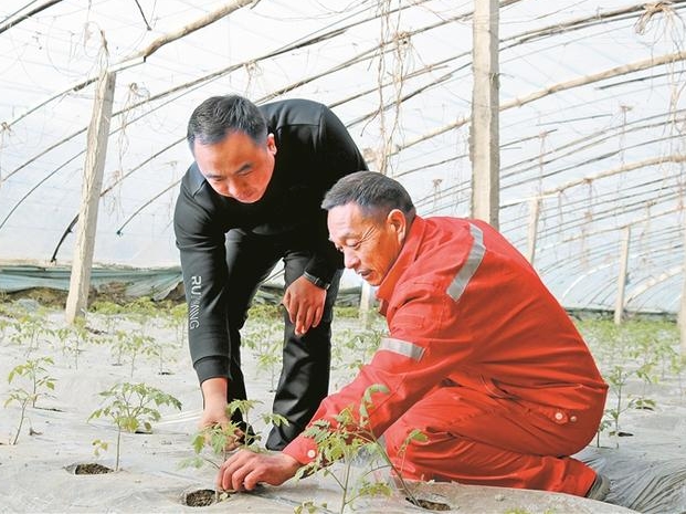 王海祥：当好乡村振兴路上的“领头雁”