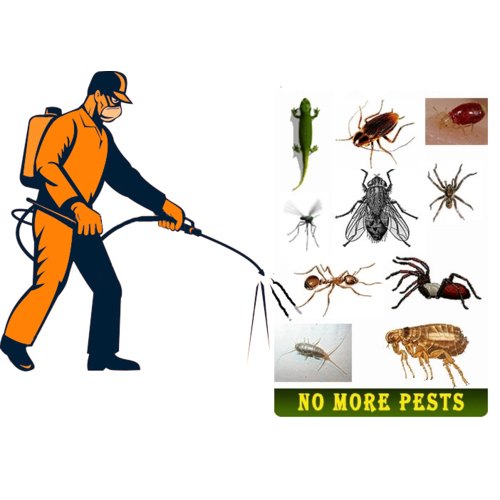 Coquitlam Pest Control