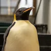 Surfer Spots an Emperor Penguin on a Beach in Australia, Thousands of Miles From Its Antarctic Home icon