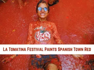 La Tomatina festival paints Spanish town red