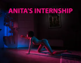 Anita's Internship