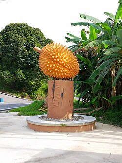 Replica of Buah Pakan at Pakan town