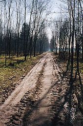 Veduta invernale del Parco Nord Milano nei pressi di Bresso