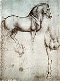 Ceffyl Leonardo yn silverpoint, t. 1488 [38]