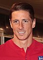 Fernando Torres, fotbalist spaniol