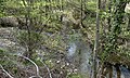 Point de confluence entre le ruisseau du Trésor à gauche et l'Auzon en face.