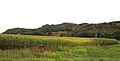 Image 47Loess Hills east of Mondamin (from Iowa)