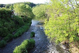 La Vologne à Lépanges-sur-Vologne (Vosges).