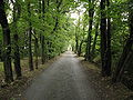 English: Lane to war cemetery no 91 Polski: Alejka prowadząca do cmentarza wojennego nr 91 w Gorlicach