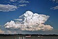 Cumulonimbus calvus