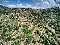 מושב אורה ומתחתיו ערוץ הוואדי שבו נמצא עין שריג