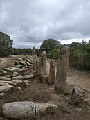 Die Steinreihen von Palaggiu, auch als Campu dei Morti (Friedhof) bezeichnet