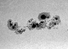 A black-and-white photograph of a group of sunspots.