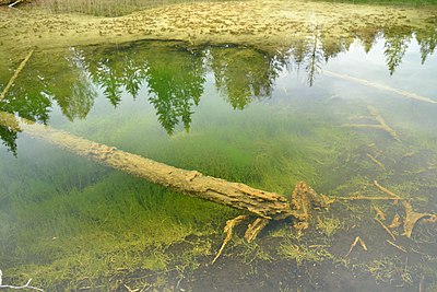 Aegviidu Siniallikad