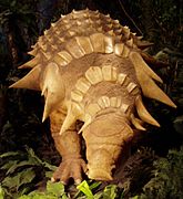 Edmontonia model on display