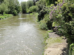 L'Oise à Mézières-sur-Oise.