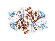 2c0i: SRC FAMILY KINASE HCK WITH BOUND INHIBITOR A-420983