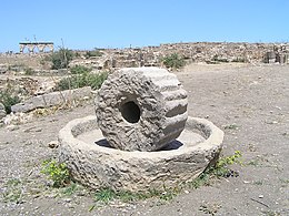 Moulin à trituration avec sa meule dressée - Volubilis