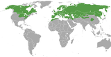 Aire de répartition de la Belette d'Europe