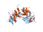 2fh7: Crystal structure of the phosphatase domains of human PTP SIGMA