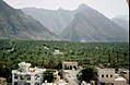 Palm trees from Nakhal fort,Oman