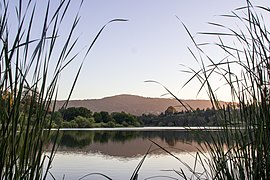 Vasona Reservoir - panoramio (1).jpg