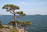 Rocky islets of the outer archipelago in Gullkrona