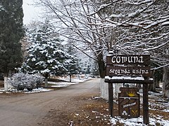 Nieve en Segunda Usina, Córdoba.