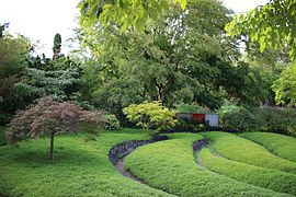 Le jardin botanique.