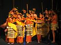 Performers in traditional Māori clothing.