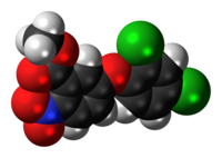 Space filling model