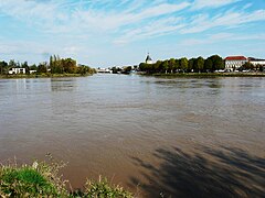 Confluent de l'Isle (en face) et de la Dordogne à Libourne.