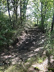 aspect du fossé qui entoure la motte et qui est toujours bien visible car non envahi par la végétation